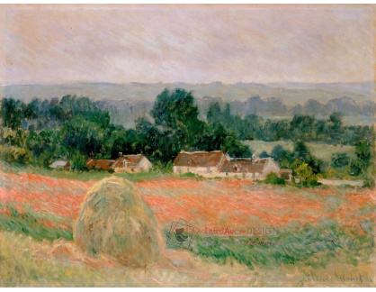 SO V-260 Claude Monet - Kupka sena v Giverny