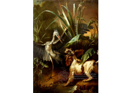 A-4862 Jean Baptiste Oudry -  Pes čelící volavce