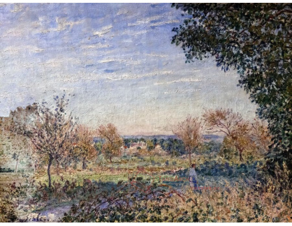 A-6783 Alfred Sisley - Září ráno