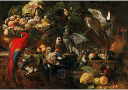 D-9601 Neznámý autor - Mísa s ovocem, papouškem, sojkou a dalšími ptáky na kamenné římse