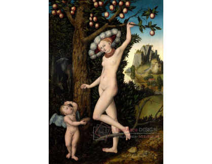 VlCR-33 Lucas Cranach - Amor a Diana