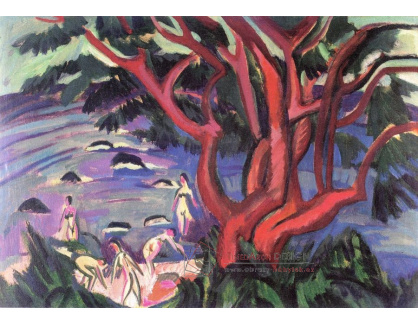 VELK 6 Ernst Ludwig Kirchner - Červený strom na pláži