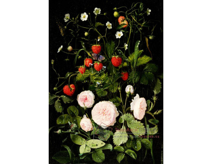 A-1484 Otto Diderich Ottesen - Zátiší s růžemi a jahodami