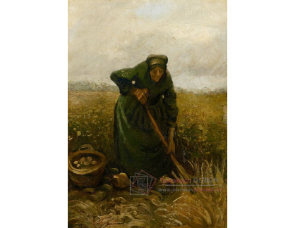 A-3268 Vincent van Gogh - Žena kopající brambory