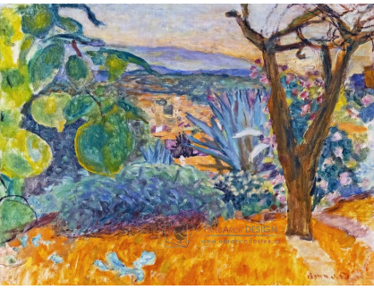 A-3730 Pierre Bonnard - Le Cannet