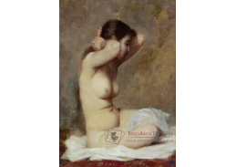 A-8467 Alphonse Jules Debaene - Akt