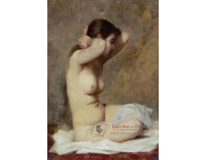 A-8467 Alphonse Jules Debaene - Akt
