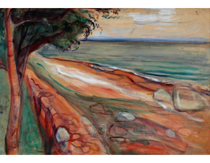 D-9335 Edvard Munch - Pláž