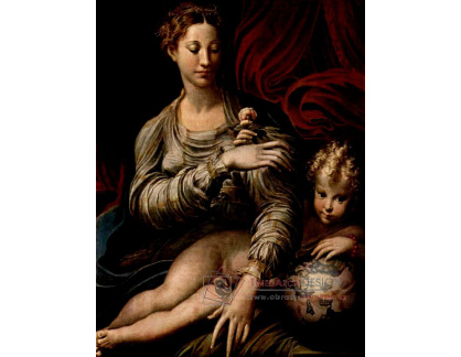 VSO149 Parmigianino - Madonna s růží