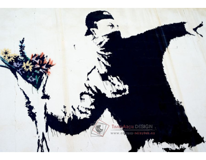 Banksy VR51-20