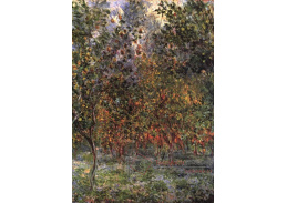 VCM 93 Claude Monet - Pod citroníky