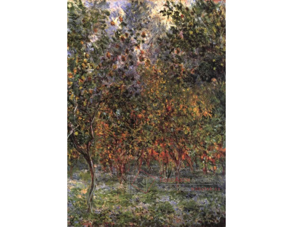 VCM 93 Claude Monet - Pod citroníky