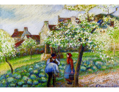 VCP-141 Camille Pissarro - Kvetoucí švestky