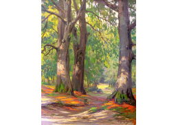 VN-364 Arnold Lyongrün - Podzim v lese