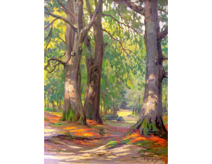 VN-364 Arnold Lyongrün - Podzim v lese