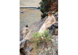 VSO234 Anders Zorn - Léto