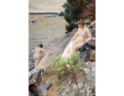 VSO234 Anders Zorn - Léto