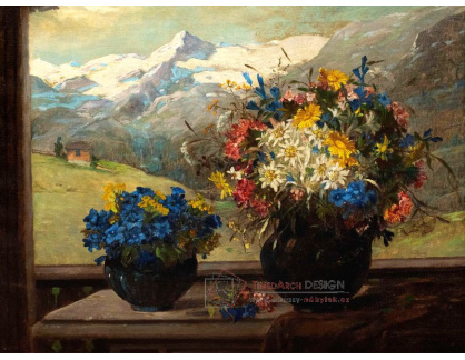 D-9773 Konstantin Stoitzner - Alpské květinové zátiší