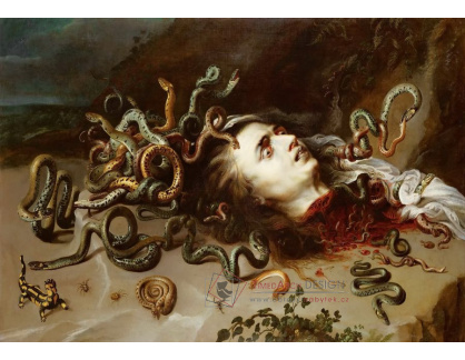 VRU208 Peter Paul Rubens - Medusa