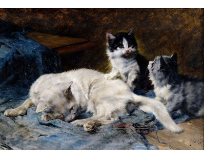 VSO 1082 Julius Adam - Kočka se dvěma koťaty