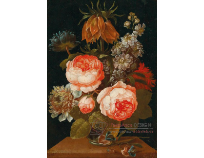 DDSO-4427 Johann Careel - Zátiší s květinami