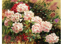 A-5168 Laurits Tuxen - Kvetoucí rododendrony