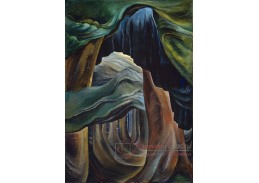 DDSO-2620 Emily Carr - Les v Britské Kolumbii