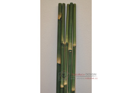 Bambusová tyč 3 - 4 cm, délka 2 metry - barvená zelená