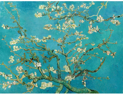 VR2-3 Vincent van Gogh - Kvetoucí mandloň