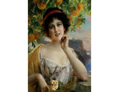 SO VII-211 Emile Vernon - Krása pod pomerančovníkem