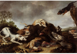 SO III-36 Frans Snyders - Lov kance