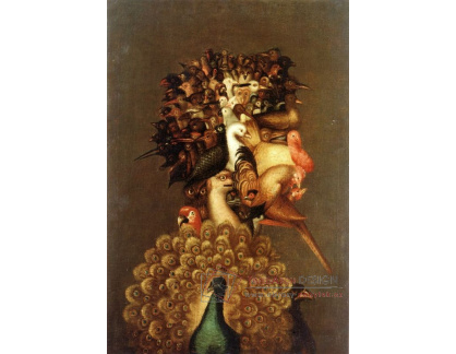 VGA3 Giuseppe Arcimboldo - Vzduch