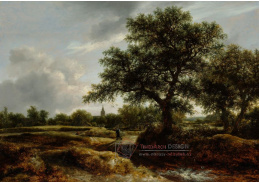 DDSO-2168 Jacob Isaaksz van Ruisdael - Krajina s vesnicí
