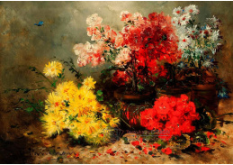 A-2066 Eugene Henri Cauchois - Sedmikrásky, měsíčky, muškáty a další letní květiny