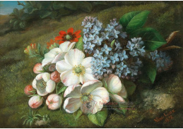 DDSO-4657 Vincenz Loos - Jablkový květ s lilky