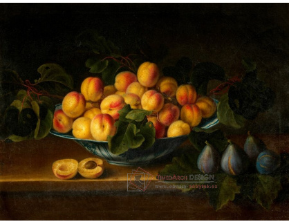 A-7116 Neznámý autor - Zátiší z ovoce s meruňkami a fíky