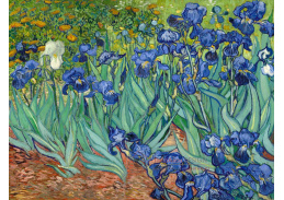 VR2-153 Vincent van Gogh - Kosatce