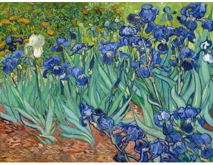 VR2-153 Vincent van Gogh - Kosatce
