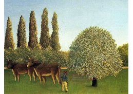 VF46 Henri Rousseau - Na polích