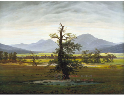 VSO 397 Caspar David Friedrich - Osamělý strom