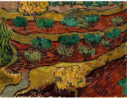VR2-170 Vincent van Gogh - Olivovníky na kopci