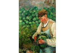 VCP-493 Camille Pissarro - Starý sedlák se zelím