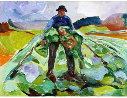 VEM13-140 Edvard Munch - Muž v poli zelí