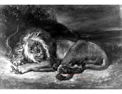 VEF 20 Eugene Ferdinand Victor Delacroix - Spící lev