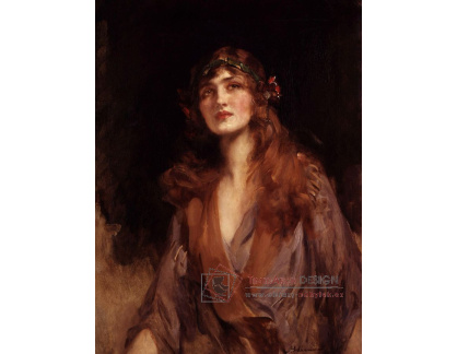 VU167 James Jebusa Shannon - Portrét Lily Elsie