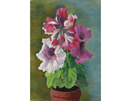 A-8256 Moise Kisling - Orchideje