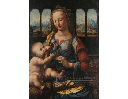 VR1-10 Leonardo da Vinci - Madonna s karafiátem
