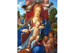 R12-40 Albrecht Dürer - Siskinská madonna