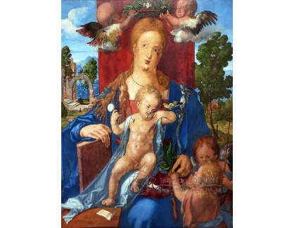 R12-40 Albrecht Dürer - Siskinská madonna