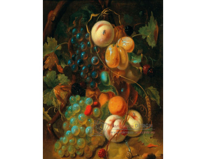 DDSO-4598 Abraham van Calraet - Zátiší s ovocem